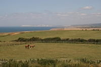 Countryside