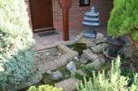 The Stream
